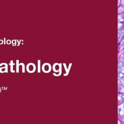 2019 Classic Lectures in Pathology What You Need to Know Endocrine Pathology