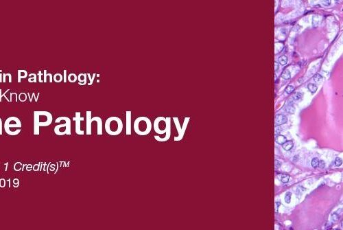 2019 Classic Lectures in Pathology What You Need to Know Endocrine Pathology