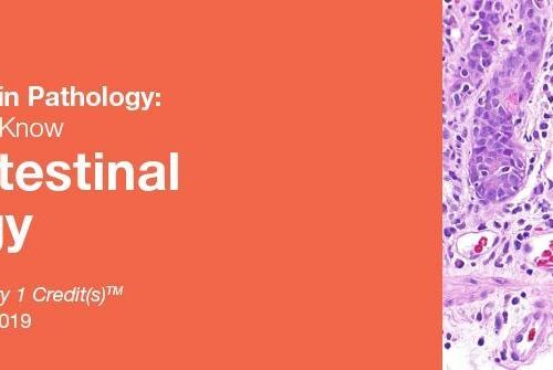 2019 Classic Lectures in Pathology What You Need to Know Gastrointestinal Pathology