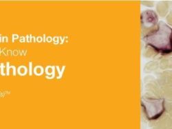 2019 Classic Lectures in Pathology: What You Need to Know: Hematopathology