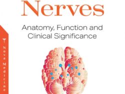 Cranial Nerves: Anatomy, Function and Clinical Significance