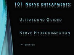 101 Nerve Entrapments: Ultrasound Guided Nerve Hydrodissection: 1st Edition