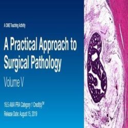 2019 Ein praktischer Ansatz zur chirurgischen Pathologie, Vol. V.