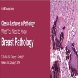 2019 Klassische Vorlesungen in Pathologie Was Sie wissen müssen Brustpathologie