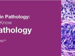 2019 Classic Lectures in Pathology What You Need to Know Dermatopathology