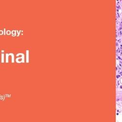 Conférences classiques 2019 en pathologie Ce que vous devez savoir en pathologie gastro-intestinale