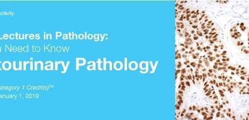 2019 Classic Lectures in Pathology What You Need to Know Genitourinary Pathology