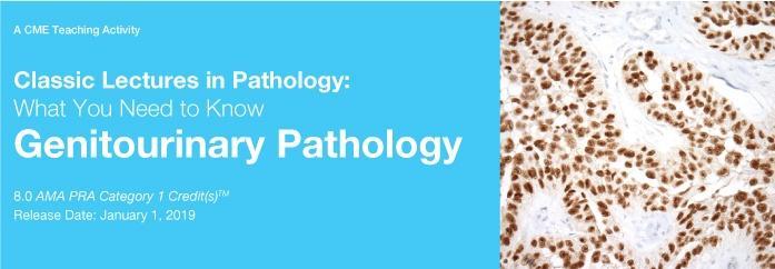 2019 Classic Lectures in Pathology What You Need to Know Genitourinary Pathology