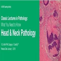2019 Classic Lectures in Pathology: What You Need to Know: Head & Neck Pathology
