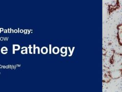 2019 Classic Lectures in Pathology What You Need to Know Soft Tissue Pathology