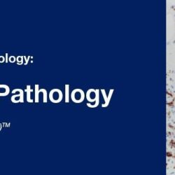 2019 Classic Lectures in Pathology What You Need to Know Soft Tissue Pathology