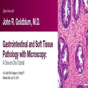 2019 Expert Series with John R. Goldblum M.D. Gastrointestinal and Soft Tissue Pathology with Microscopy A One on One Tutorial