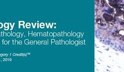 2019 Pathology Review Dermatopathology, Hematopathology, and Breast for the General Pathologist