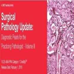 2019 Surgical Pathology Update Diagnostic Pearls for the Practicing Pathologist Vol. III