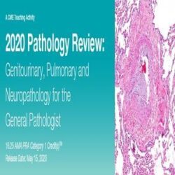 Revisão de Patologia de 2020 Genitourinary, Pulmonary and Neuropathology for the General Pathologist