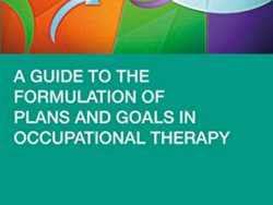 A Guide to the Formulation of Plans and Goals in Occupational Therapy 1st Edition