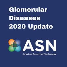 ASN Glomerular Diseases Update (On-Demand) 2020