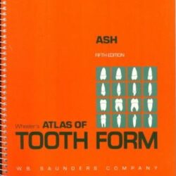 Atlas of Tooth Form