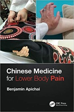 Chinese Medicine for Lower Body Pain 1st Edition