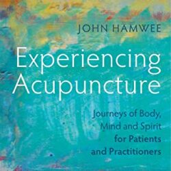 Experiencing Acupuncture: Journeys of Body, Mind and Spirit for Patients and Practitioners