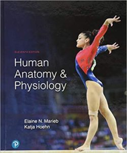 Human Anatomy & Physiology 11th Edition