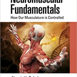 Neuromuscular Fundamentals: How Our Musculature is Controlled 1st Edition
