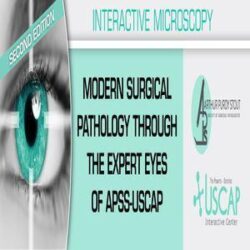 Second Edition Modern Surgical Pathology Through the Expert Eyes of APSS-USCAP 2020