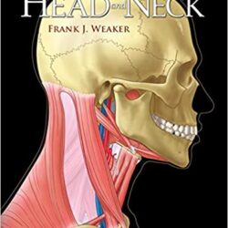 Structures of the Head and Neck 1st Edition