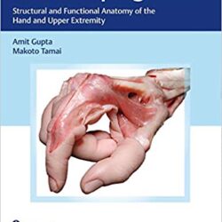 La mano que agarra: anatomía estructural y funcional de la mano y la extremidad superior