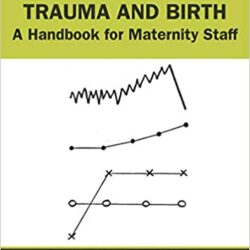 Trauma and Birth: A Handbook for Maternity Staff 1st Edition