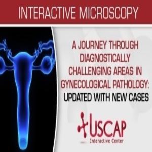 USCAP A Journey Through Diagnostically Challenging Areas in Gynecologic Pathology Updated with New Cases 2019 1