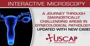 USCAP A Journey Through Diagnostically Challenging Areas in Gynecologic Pathology Updated with New Cases 2019