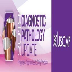 USCAP Diagnose-Pathologie-Update 2019