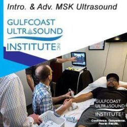 Échographie musculo-squelettique du Gulfcoast Ultrasound Institute