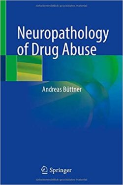 Neuropathology of Drug Abuse 1st ed. 2021 Edition