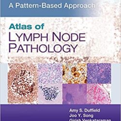 Atlas of Lymph Node Pathology: A Pattern Based Approach 1st Edition
