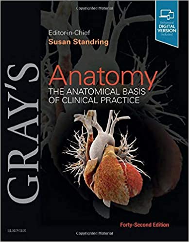 Gray's Anatomy The Anatomical Basis Of Clinical Practice 42nd Edition