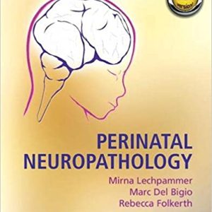 Perinatal Neuropathology 1st Edition