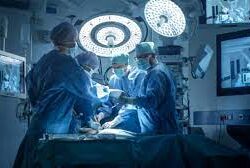 Chirurgie: Allgemein, Transplantation, kolorektale, laparoskopische und robotische Chirurgie, prä- und postoperative Versorgung und mehr