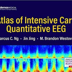 Atlas of Intensive Care Quantitative EEG 1st Edition