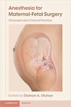 Anesthesia for Maternal-Fetal Surgery: Concepts and Clinical Practice New Edition