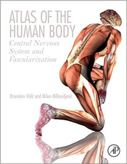 Atlas of the Human Body: Central Nervous System and Vascularization 1st Edition