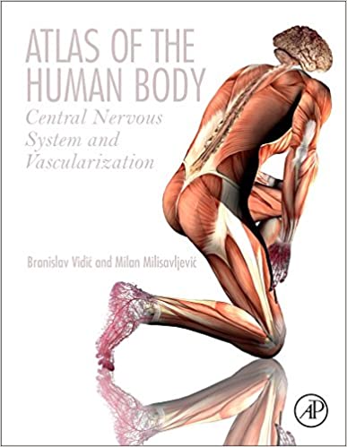 Atlas du corps humain : système nerveux central et vascularisation 1ère édition