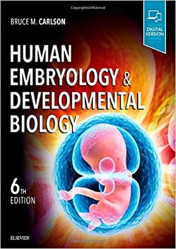 Human Embryology and Developmental Biology 6th Edition