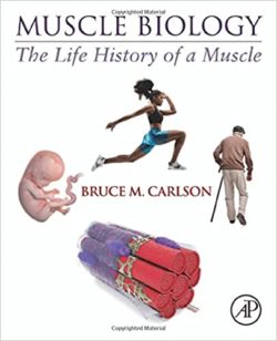 Muscle Biology: The Life History of a Muscle 1st Edition