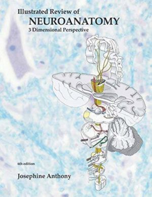 Illustrated Review of Neuroanatomy: Three-3 Dimensional Perspective Illustrated Edition