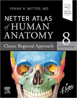 Netter Atlas of Human Anatomy Classic Regional Approach Eighth Edition (Netter Basic Science 8e) 8th Ed