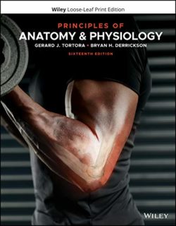 Principles of Anatomy &  Physiology Sixteenth 16th Edition