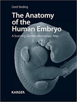 The Anatomy of the Human Embryo A Scanning Electron-Microscopic Atlas First Edition (1st ed/1e)