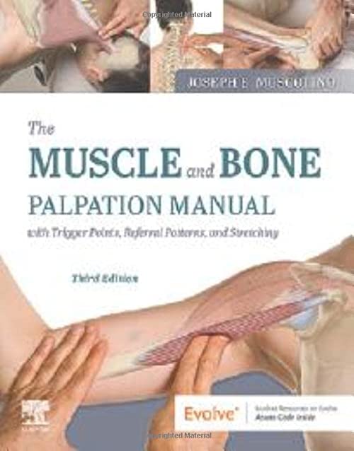 Il manuale per la palpazione di muscoli e ossa con punti trigger, modelli di riferimento e stretching Terza edizione (3a ed/3e)